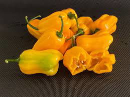 Piments frais_2