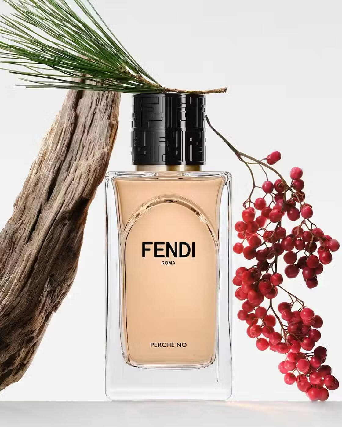 Fendi Perche No Edp 100ml Perfume _0