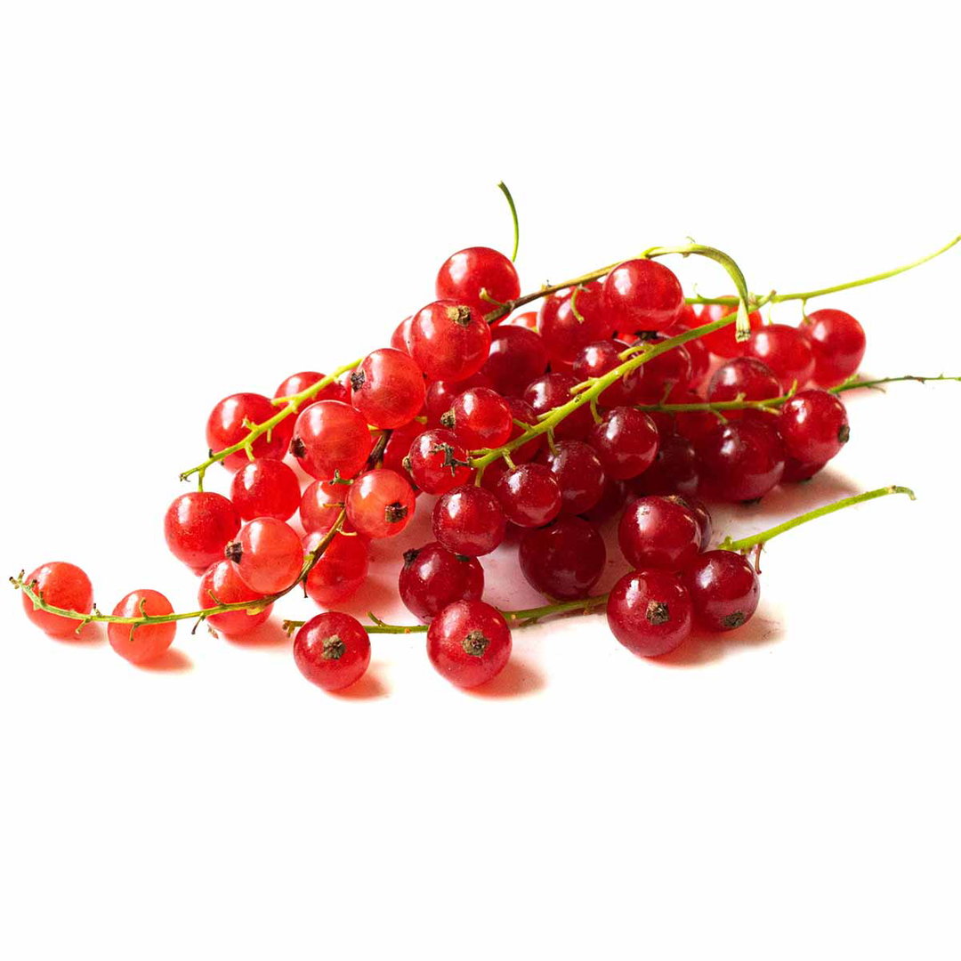 Red currant الكشكش الأحمر ( كل علبة)