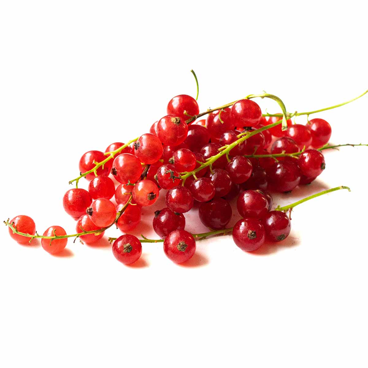 Red currant الكشكش الأحمر  ( كل علبة)_0