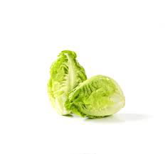 Baby gem lettuce خس جوهرة صغير (كل نص كيلو)