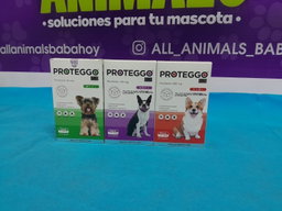 contra pulgas y garrapatas
