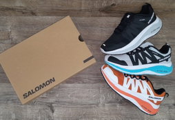 Salomon