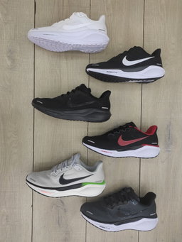 Pegasus 41