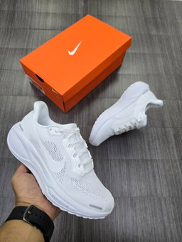 Pegasus 41