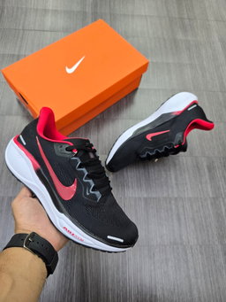 Pegasus 41