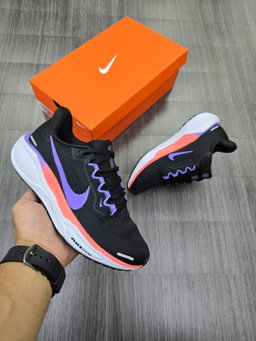 Pegasus 41