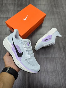 Pegasus 41