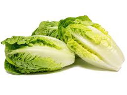 Salade