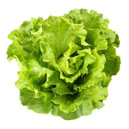 Salade locale 