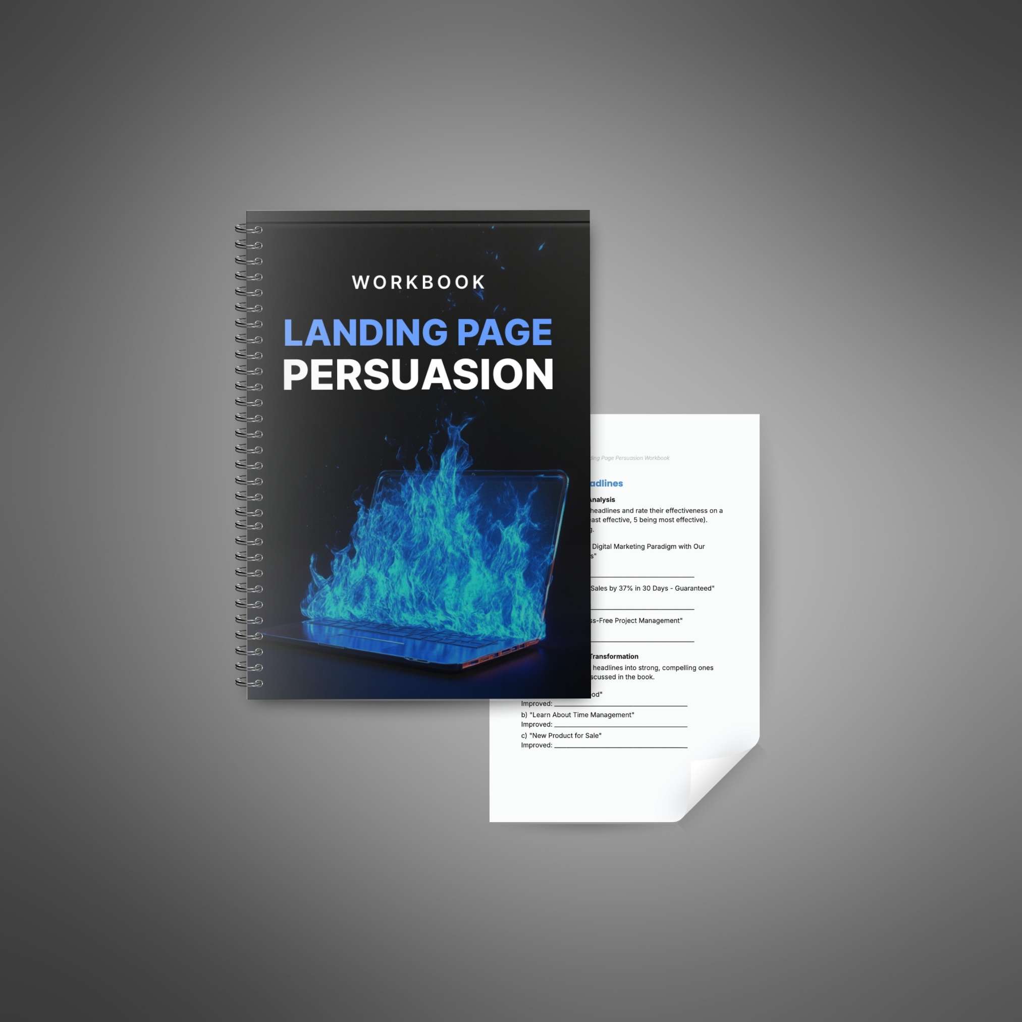 Landing Page Persuasion - Workbook_1