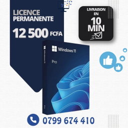 Microsoft Windows 