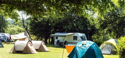 Value Camper [4-Days]