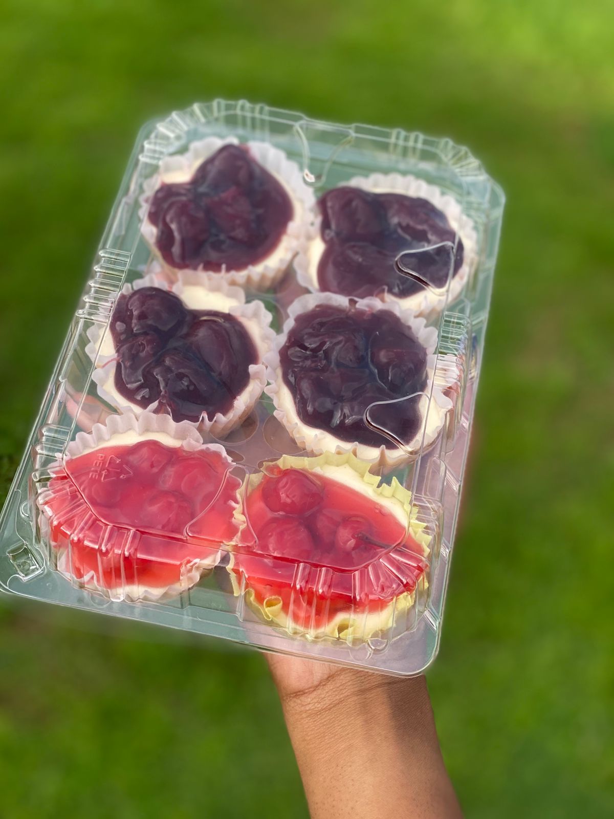 Cheesecake Cupcakes_0