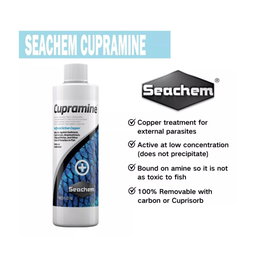 Seachem Water Conditioners Aquarium Aquascape Fish ( Garlic Guard / AmGuard / Betta Basics / Cupramine )