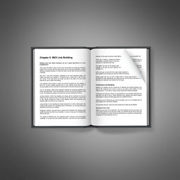 Search Engine Optimization