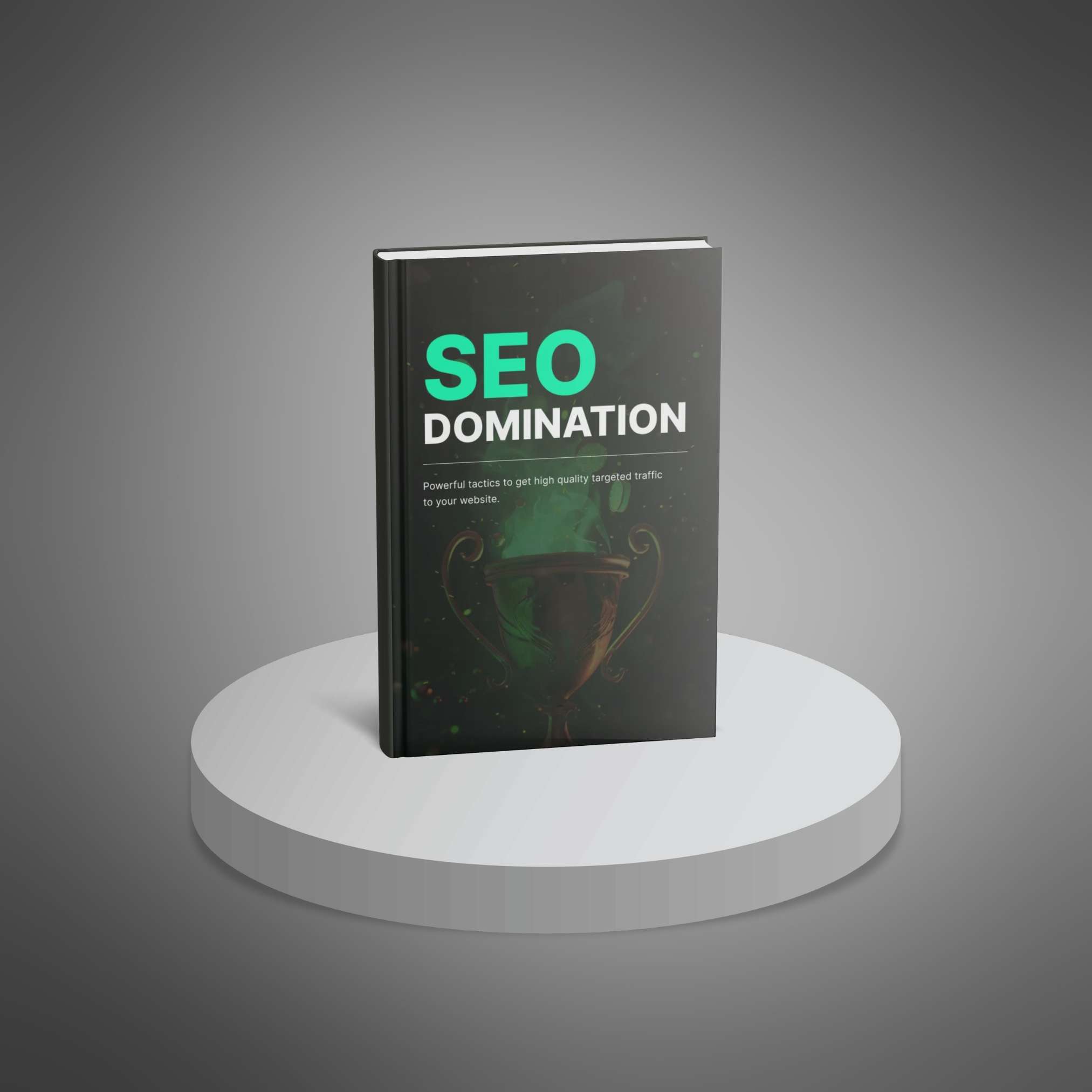 SEO Domination_2