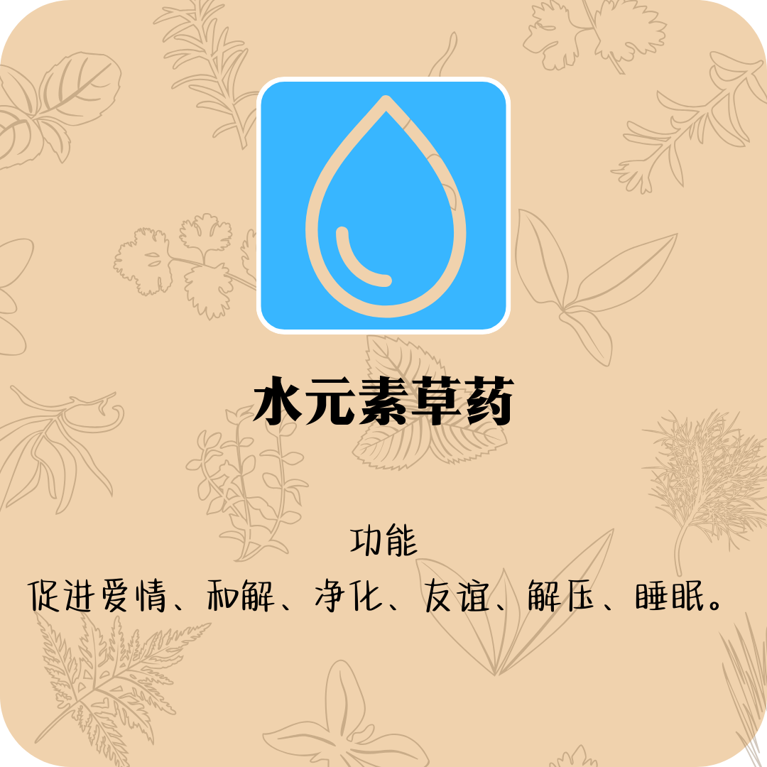 水元素草药（5gm装）_0