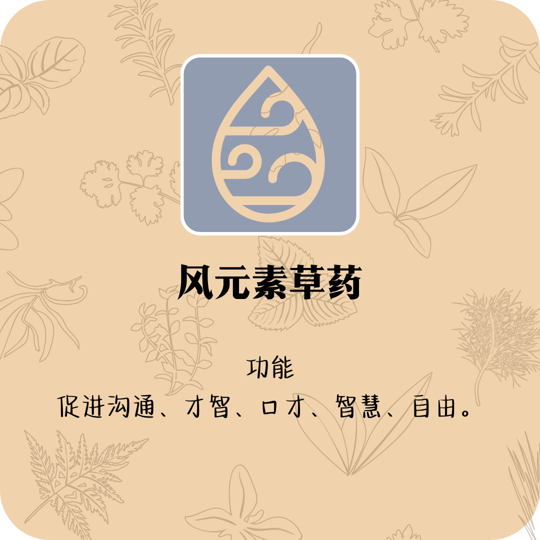 风元素草药（5gm装）