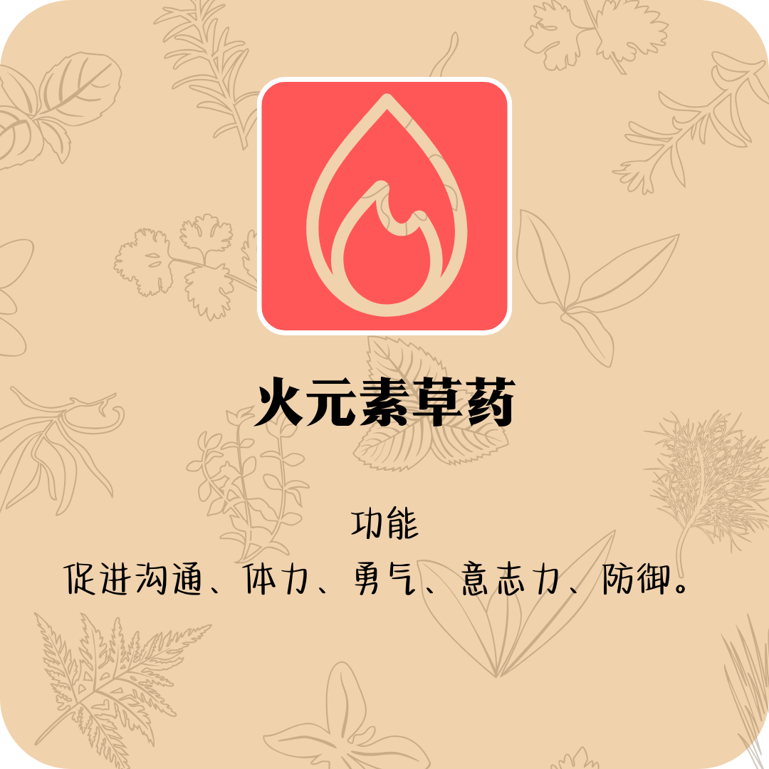 火元素草药（5gm装）