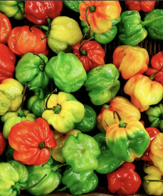Piments aux moringa