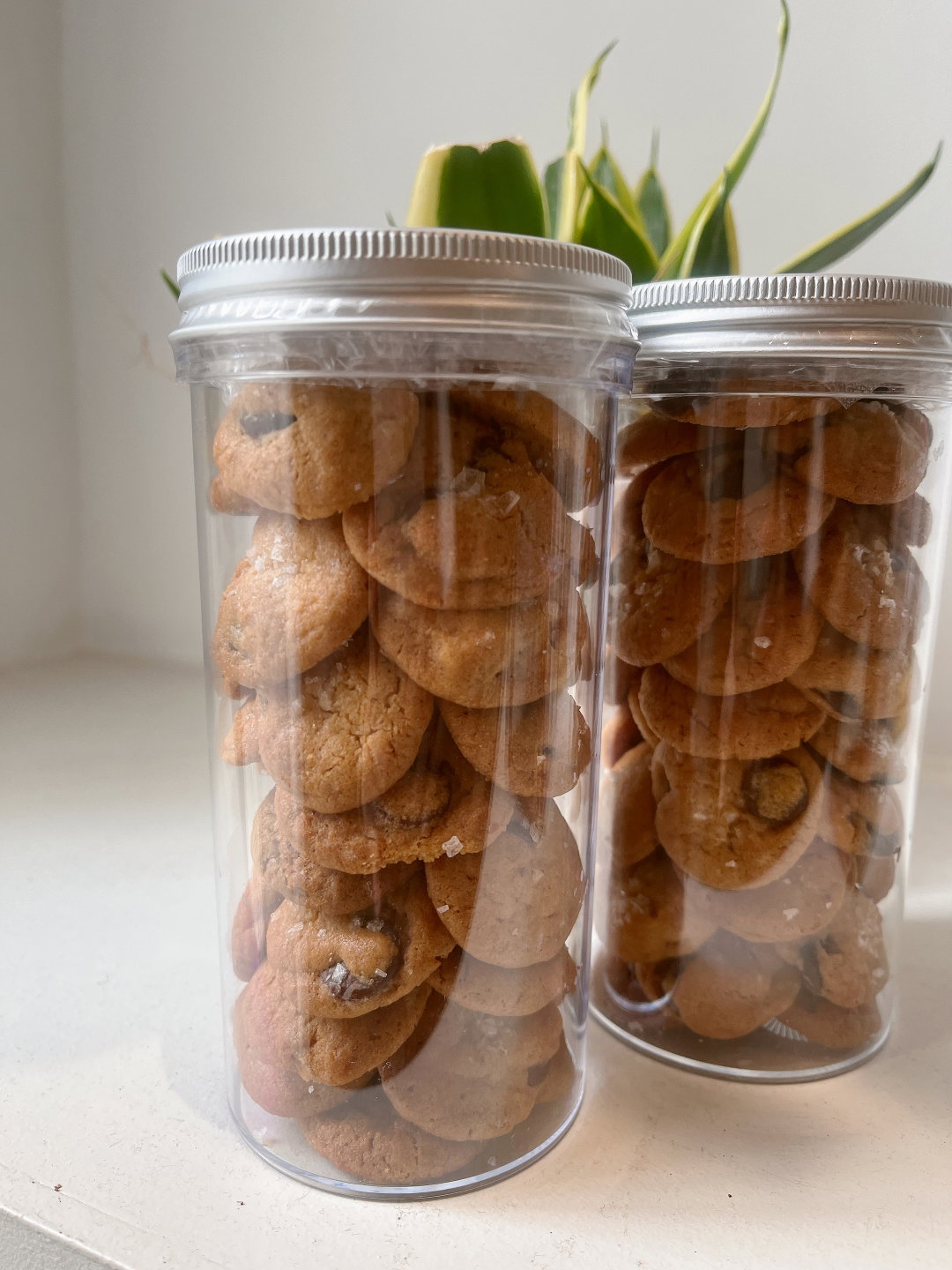 Sea salt chocolate chip cookies - Plain