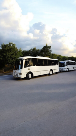 Encava de tipo Minipullman 32 puestos full a/a