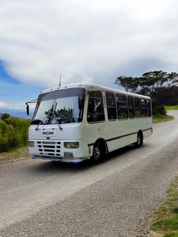 Catálogo de unidades tipo autobús de categoría económica