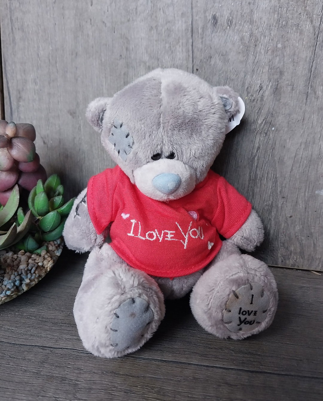 Teddy Bear