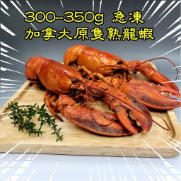 300-350g 急凍加拿大原隻熟龍蝦                     