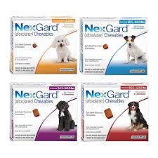 Nexgard_0