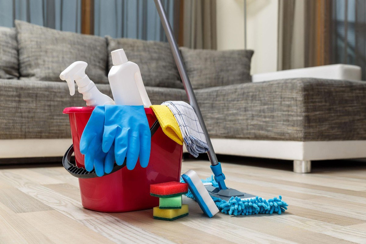 Domestic Cleaning_0