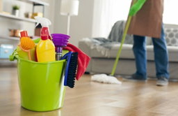 Domestic Cleaning