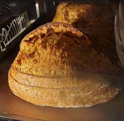 Sourdough Bread