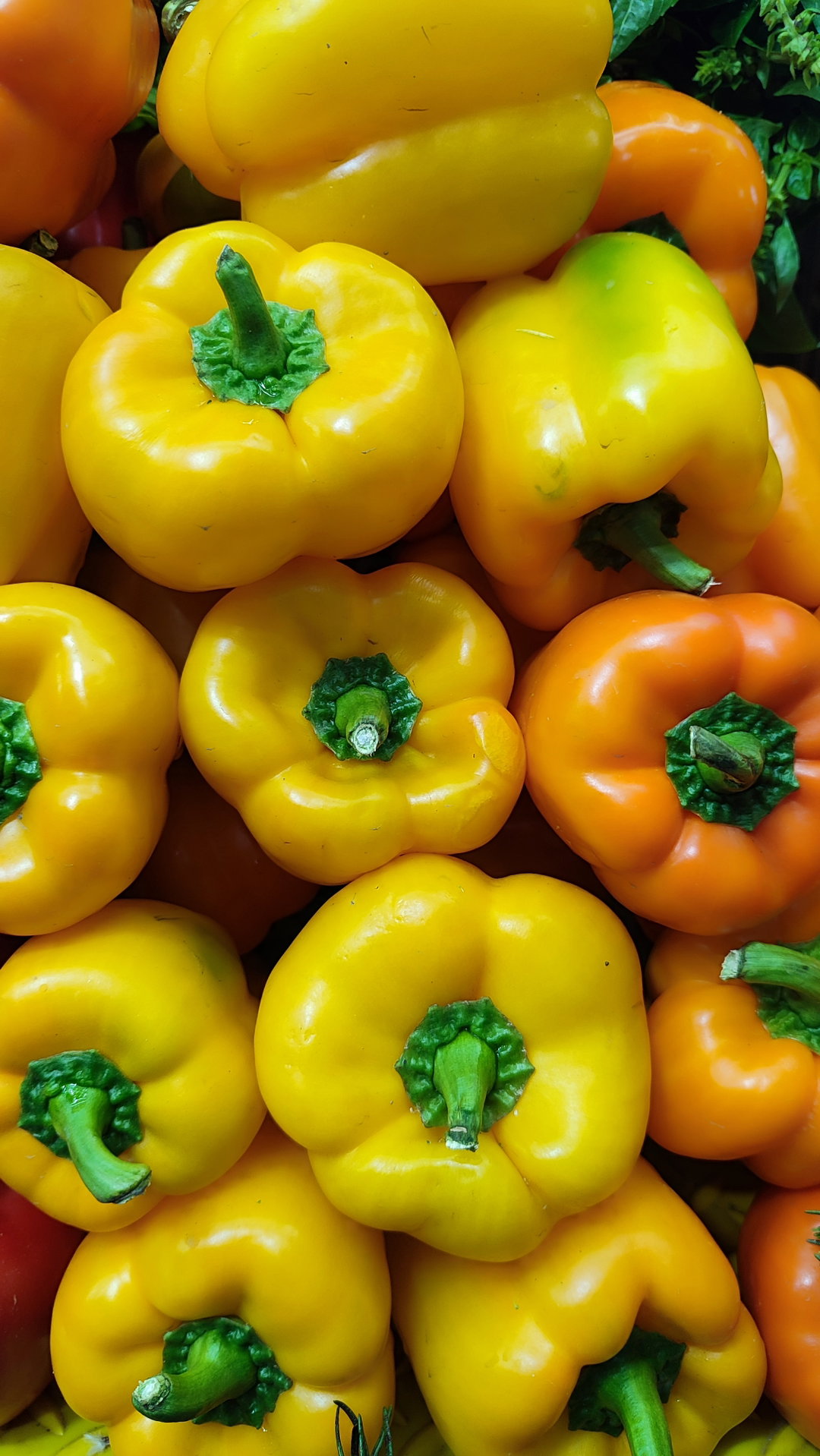 Pimiento amarillo