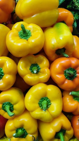 Pimiento amarillo