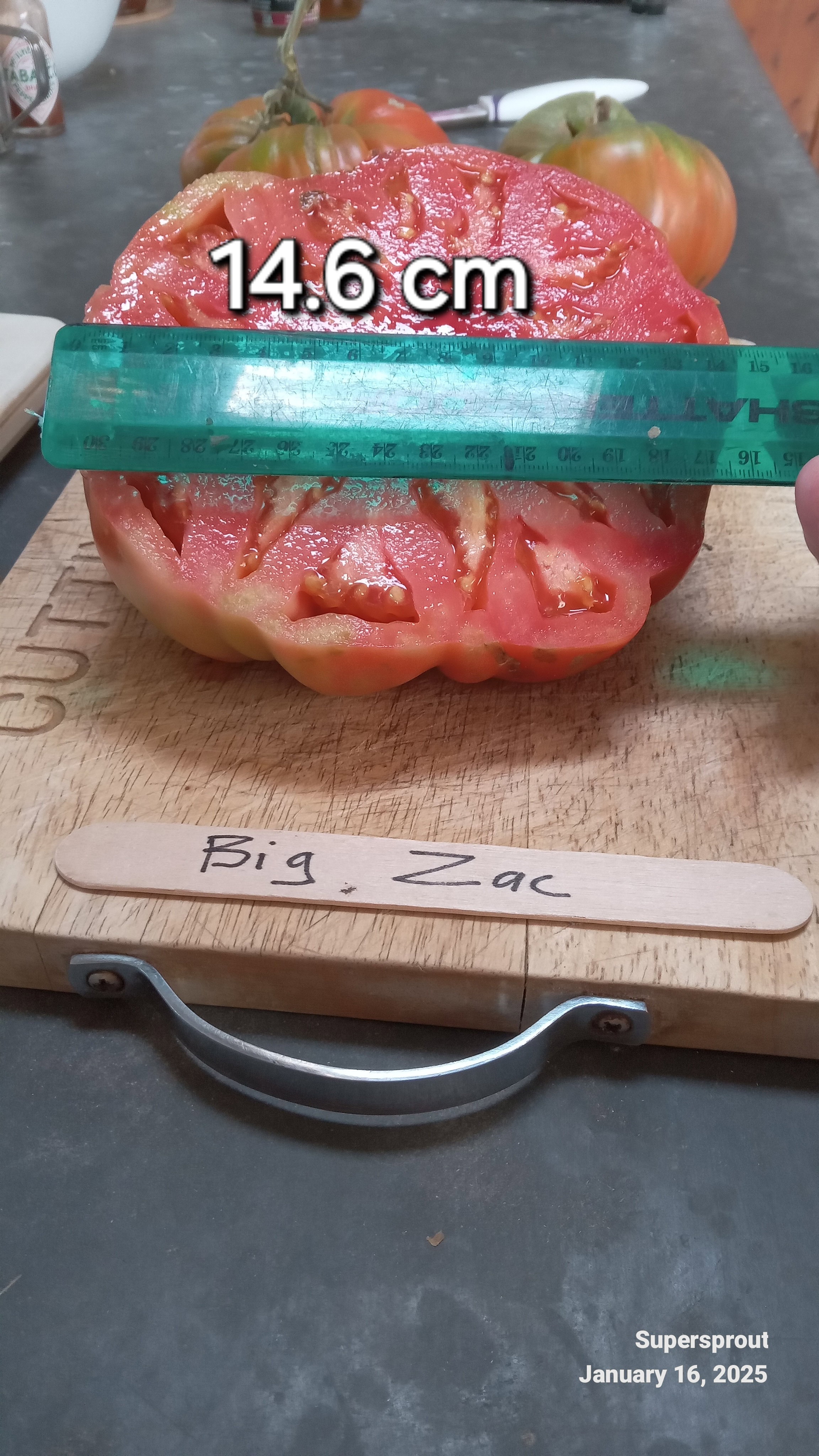 BIG ZAC GIANT TOMATO x 10 seeds_7