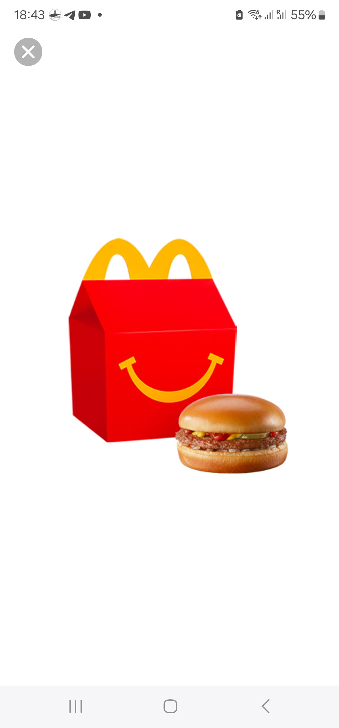 Happy Meal"" Hamburger_0
