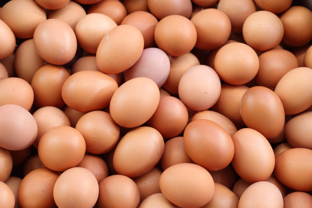 Eggs_0