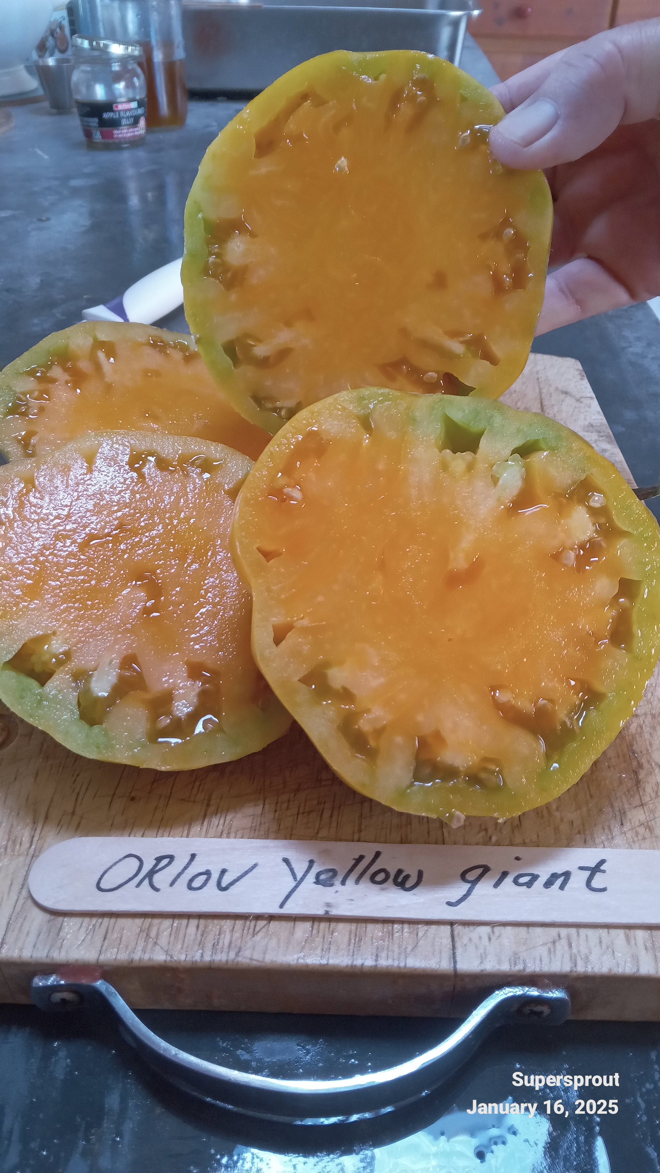 ORLOV YELLOW GIANT TOMATO x 10 seeds_3