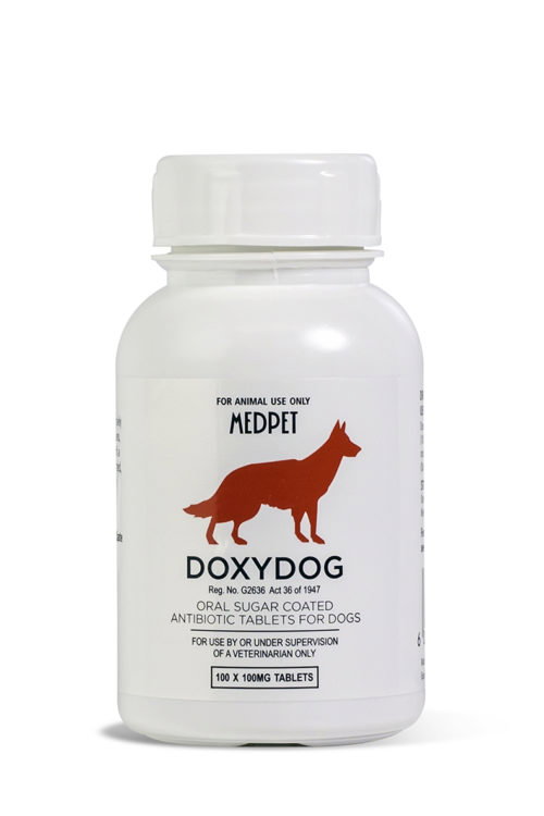 Doxydog & Doxysyrup_0