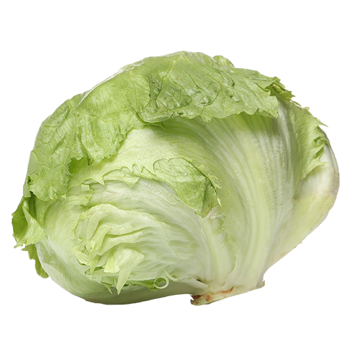 Iceberg