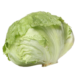 Iceberg
