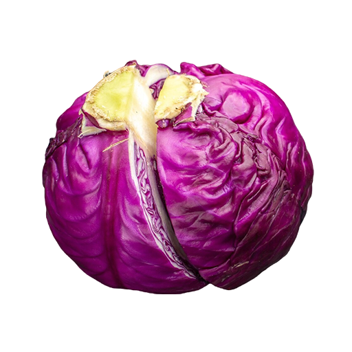 Red Cabbage