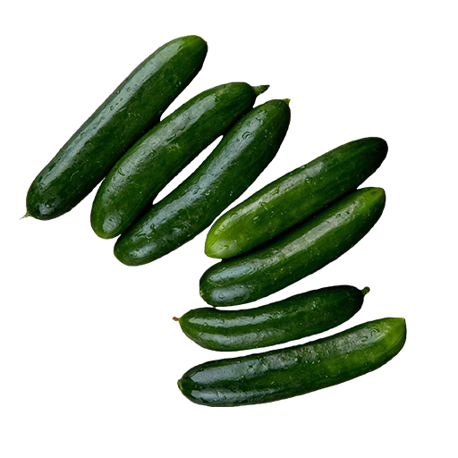 Cucumber_0