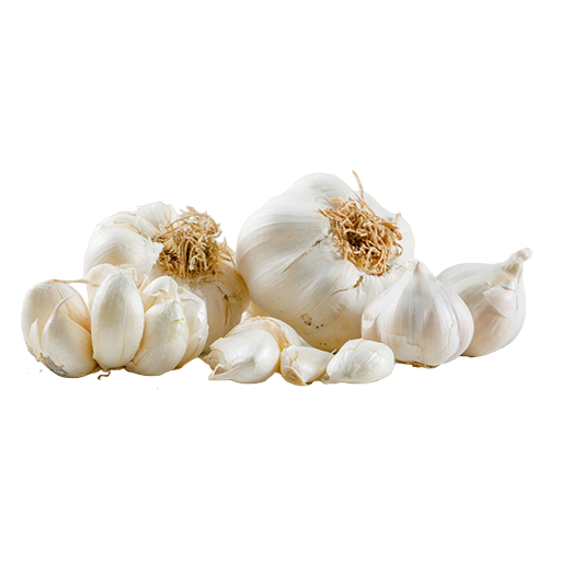 Garlic_0