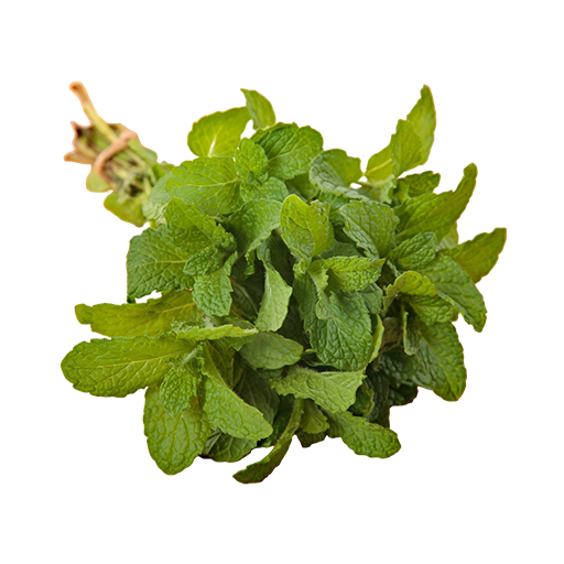 Mint Leaves 1 Bundle