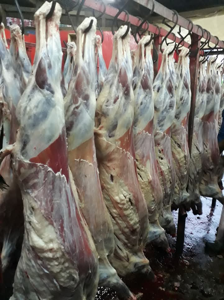 MEAT