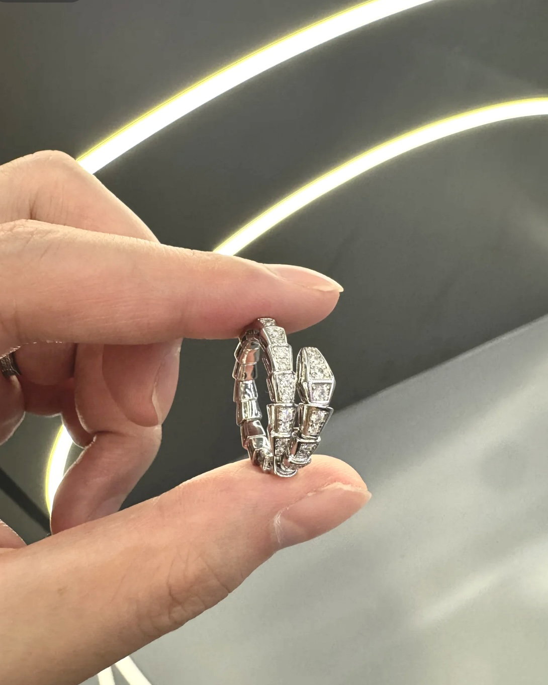 (蛇)HEBI RING (PO)_7