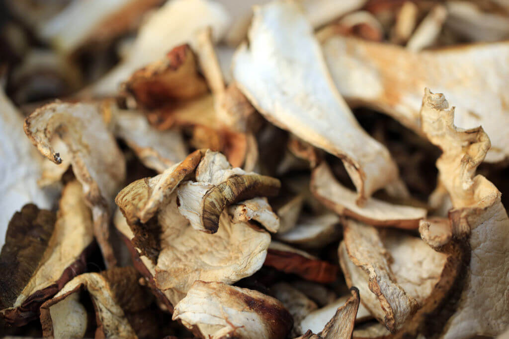 Gedroogde cepes - Dried porcinni_0